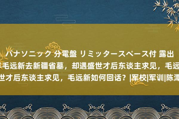 パナソニック 分電盤 リミッタースペース付 露出・半埋込両用形 2000年毛远新去新疆省墓，却遇盛世才后东谈主求见，毛远新如何回话？|军校|军训|陈潭秋