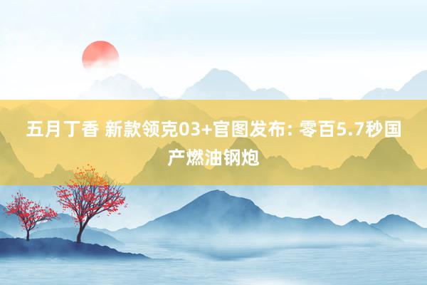 五月丁香 新款领克03+官图发布: 零百5.7秒国产燃油钢炮