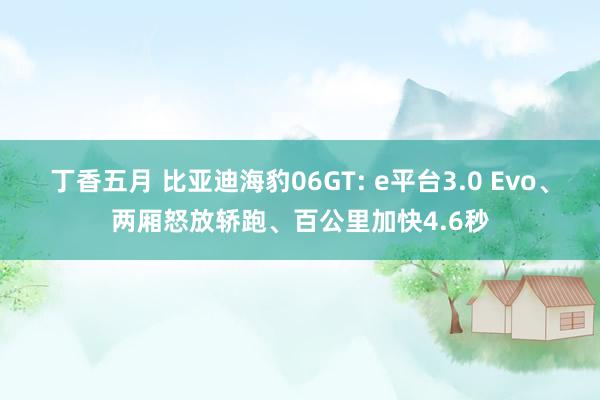 丁香五月 比亚迪海豹06GT: e平台3.0 Evo、两厢怒放轿跑、百公里加快4.6秒