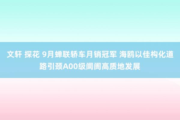 文轩 探花 9月蝉联轿车月销冠军 海鸥以佳构化道路引颈A00级阛阓高质地发展