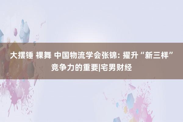 大摆锤 裸舞 中国物流学会张锦: 擢升“新三样”竞争力的重要|宅男财经