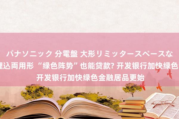 パナソニック 分電盤 大形リミッタースペースなし 露出・半埋込両用形 “绿色阵势”也能贷款? 开发银行加快绿色金融居品更始