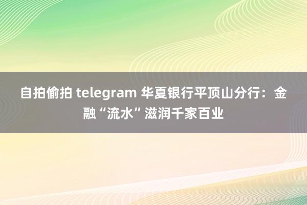 自拍偷拍 telegram 华夏银行平顶山分行：金融“流水”滋润千家百业