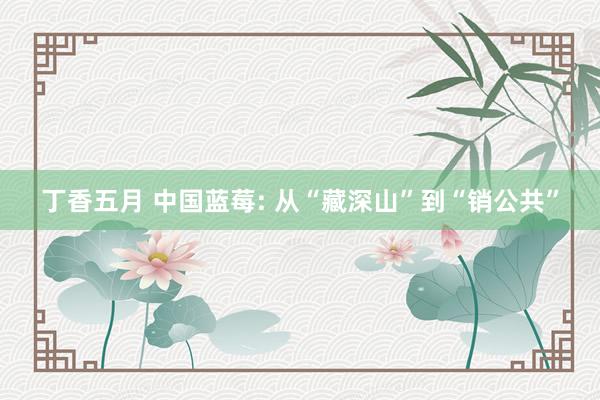 丁香五月 中国蓝莓: 从“藏深山”到“销公共”