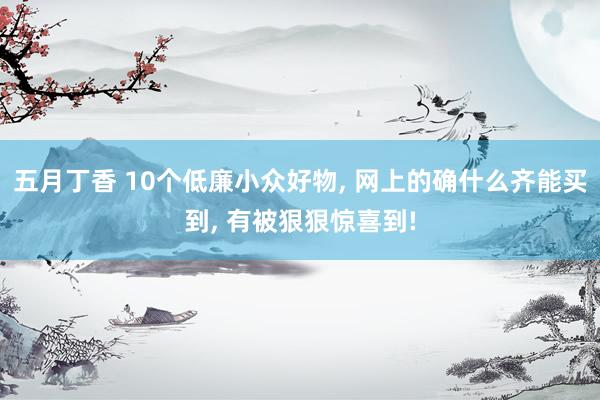 五月丁香 10个低廉小众好物， 网上的确什么齐能买到， 有被狠狠惊喜到!