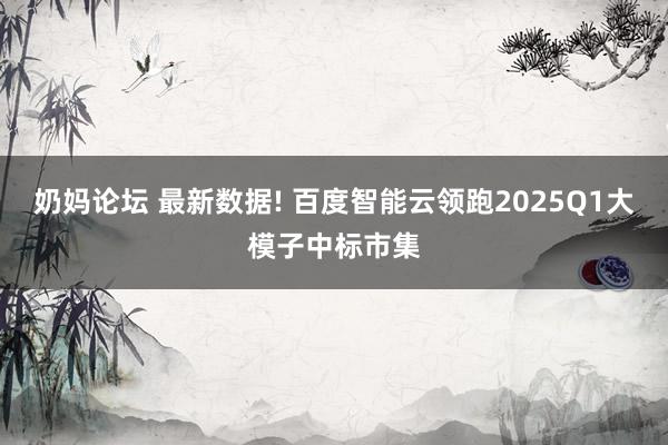 奶妈论坛 最新数据! 百度智能云领跑2025Q1大模子中标市集