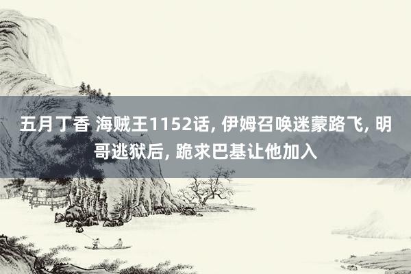 五月丁香 海贼王1152话， 伊姆召唤迷蒙路飞， 明哥逃狱后， 跪求巴基让他加入